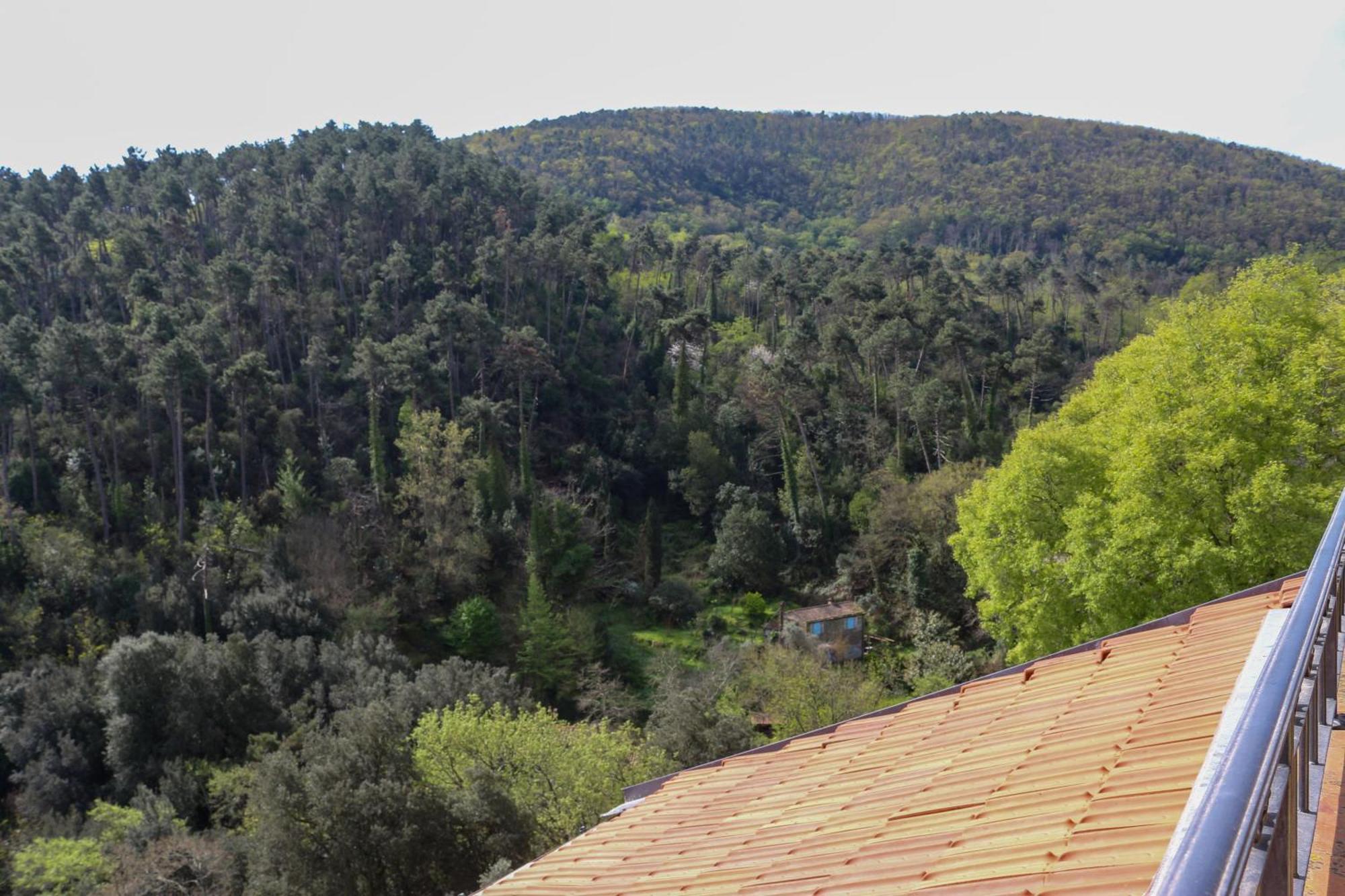 Casa E Mansarda Delle Mura Ameglia Exterior foto